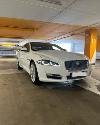 Jaguar XJ cena 140000 przebieg: 78000, rok produkcji 2017 z Chorzów małe 232